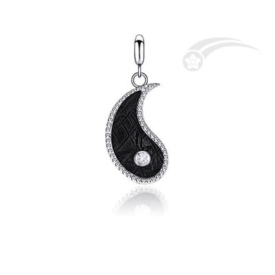 925 Sterling Silver Tai Chi Meteorite 2 in 1 Pendant 13*20 mm Jewelry